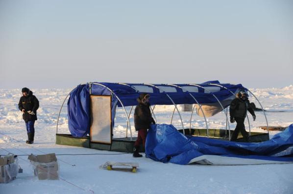 538985_543188275731992_1780908715_n