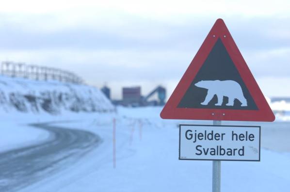 558953_541854702532016_352100467_n