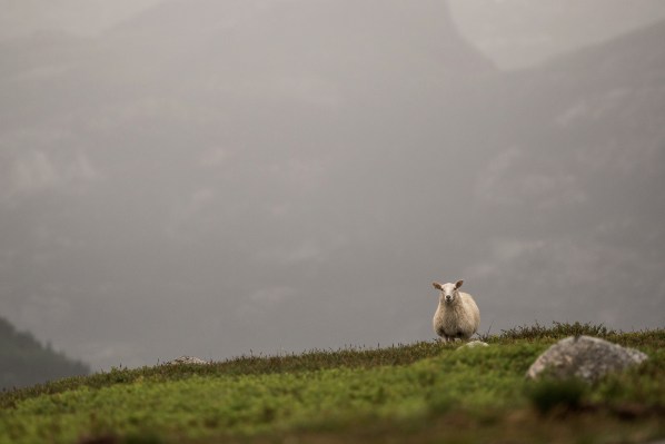 11731763_1649947045240409_3081642002790612975_o